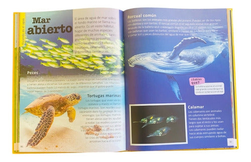 Libro La Enciclopedia Infantil De Los Animales - Lexus Nuevo