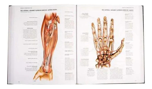 Atlas Del Cuerpo Humano - Anatomia - Fisiologia - Patologia