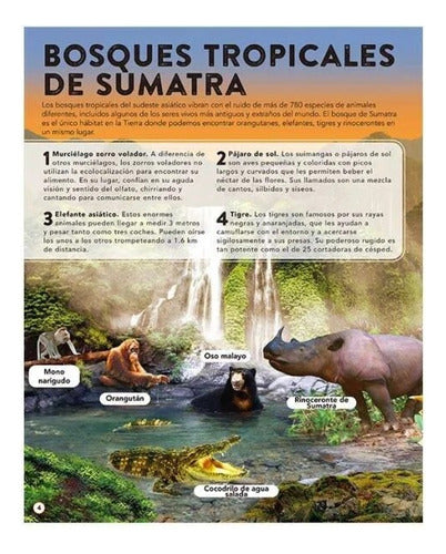 Libro El Reino Animal 50 Increibles Sonidos - Lexus - Nuevo