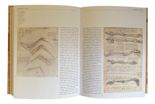 Libro Leonardo Anatomia Y Vuelo - Lexus - Nuevo Y Original