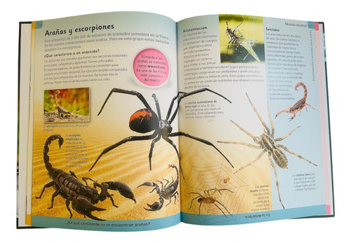 Enciclopedia Ilustrada Para Niños Mundo Animal - Lexus T/dur