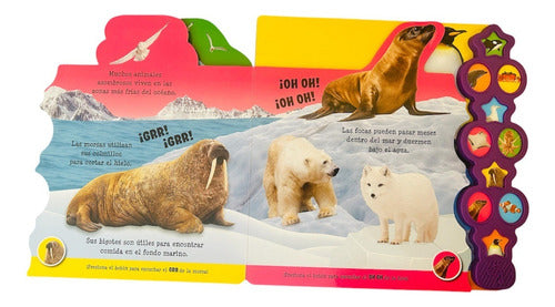 Libro En El Oceano - 10 Sonidos Del Oceano/datos - Lexus