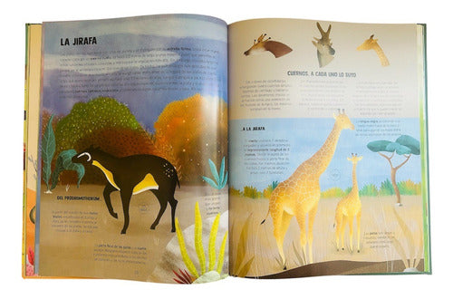Libro Descubramos La Evolucion De Los Animales T/dura Lexus