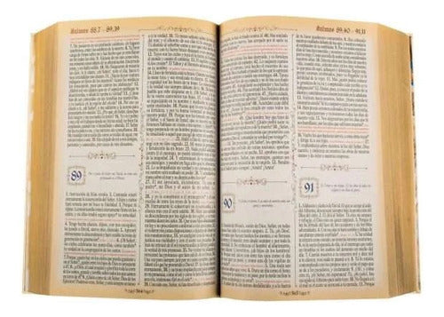 Sagrada Biblia Dorada Grande - Nuevo Y Original - Lexus