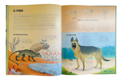 Libro Descubramos La Evolucion De Los Animales T/dura Lexus