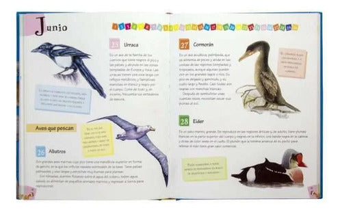 Libro 365 Curiosidades De Animales - Lee Cada Dia - Lexus