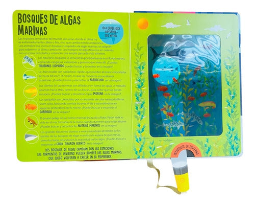 Libro Animales Marinos Busca Y Encuentra Con Linterna- Lexus