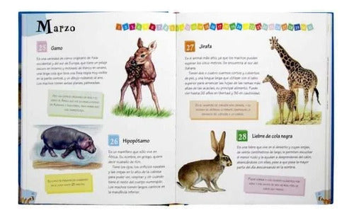 Libro 365 Curiosidades De Animales - Lee Cada Dia - Lexus