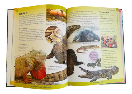 Enciclopedia Ilustrada Para Niños Mundo Animal - Lexus T/dur
