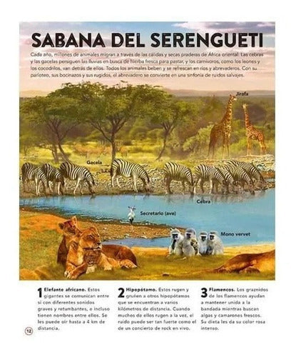 El Reino Animal Con 50 Increíbles Sonidos (tapa Dura) / Lexus