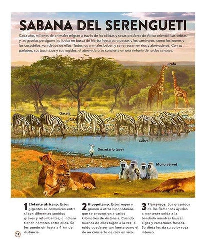 Libro El Reino Animal 50 Increibles Sonidos - Lexus - Nuevo