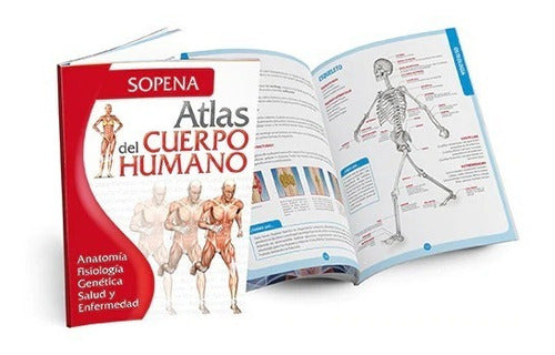 Atlas Del Cuerpo Humano