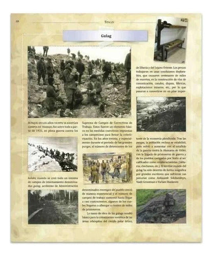 Libro Stalin - Protagonistas De La Historia - Lexus - Nuevo