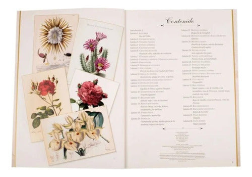 Libro Maravillas De La Botanica - Lexus - Laminas P/enmarcar