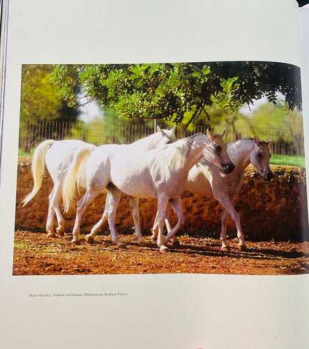 Libro The Arabian Horse - Caballos Arabes - Konemann/idiomas