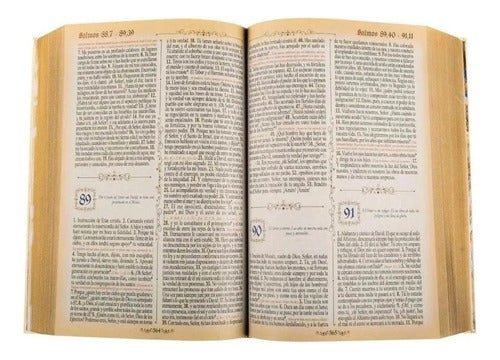 Sagrada Biblia Dorada Mediana (tapa Dura) / Lexus
