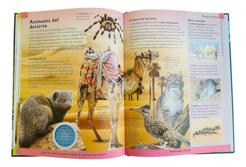 Enciclopedia Ilustrada Para Niños Mundo Animal - Lexus T/dur