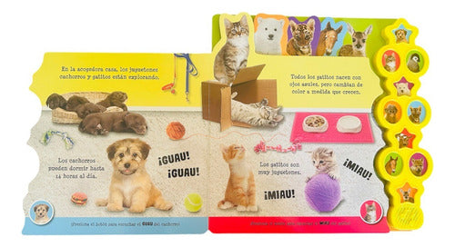 Libro Animales Bebes- 10 Sonidos/datos- Lexus Nuevo/original