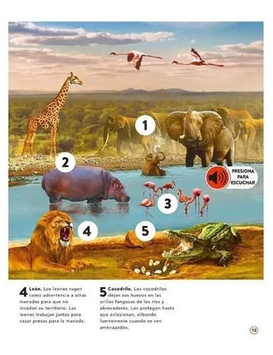 El Reino Animal Con 50 Increíbles Sonidos (tapa Dura) / Lexus