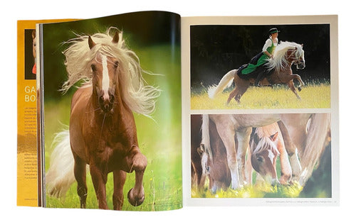 Libro Los Caballos Mas Bellos Del Mundo - Konemann 8 Idiomas