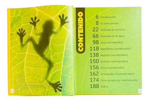 Libro La Enciclopedia Infantil De Los Animales - Lexus Nuevo