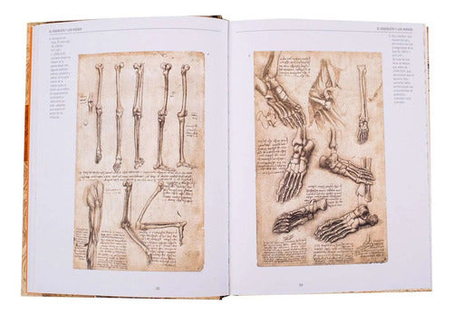 Libro Leonardo Anatomia Y Vuelo - Lexus - Nuevo Y Original