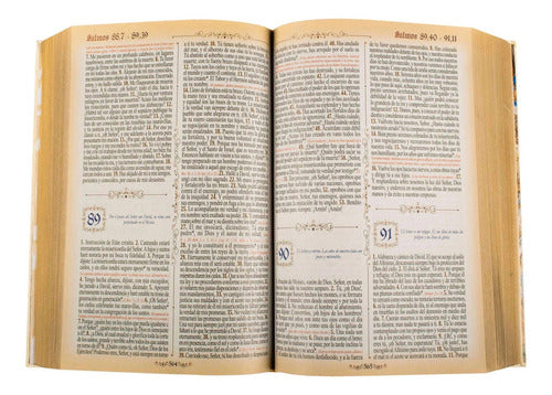 Sagrada Biblia Dorada Tapa Dura Acolchada Lexus