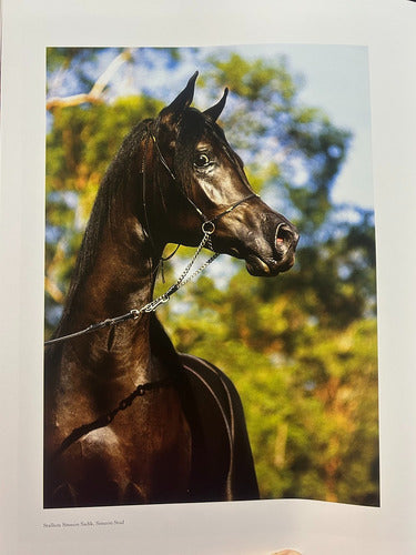 Libro The Arabian Horse - Caballos Arabes - Konemann/idiomas
