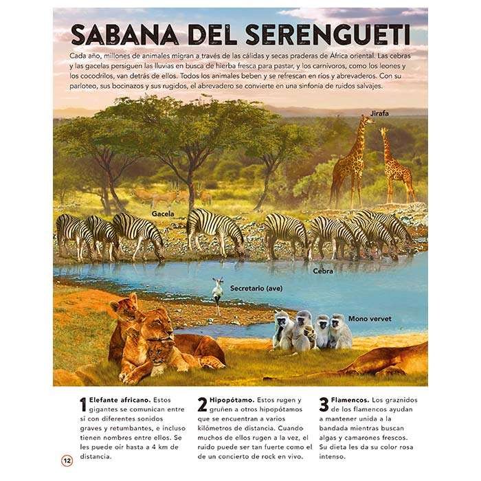 El Reino Animal 50 Sonidos