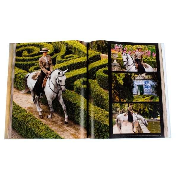Andaluces Lusitanos