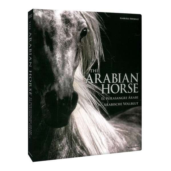 Caballos Árabes - El Pura Sangre Árabe