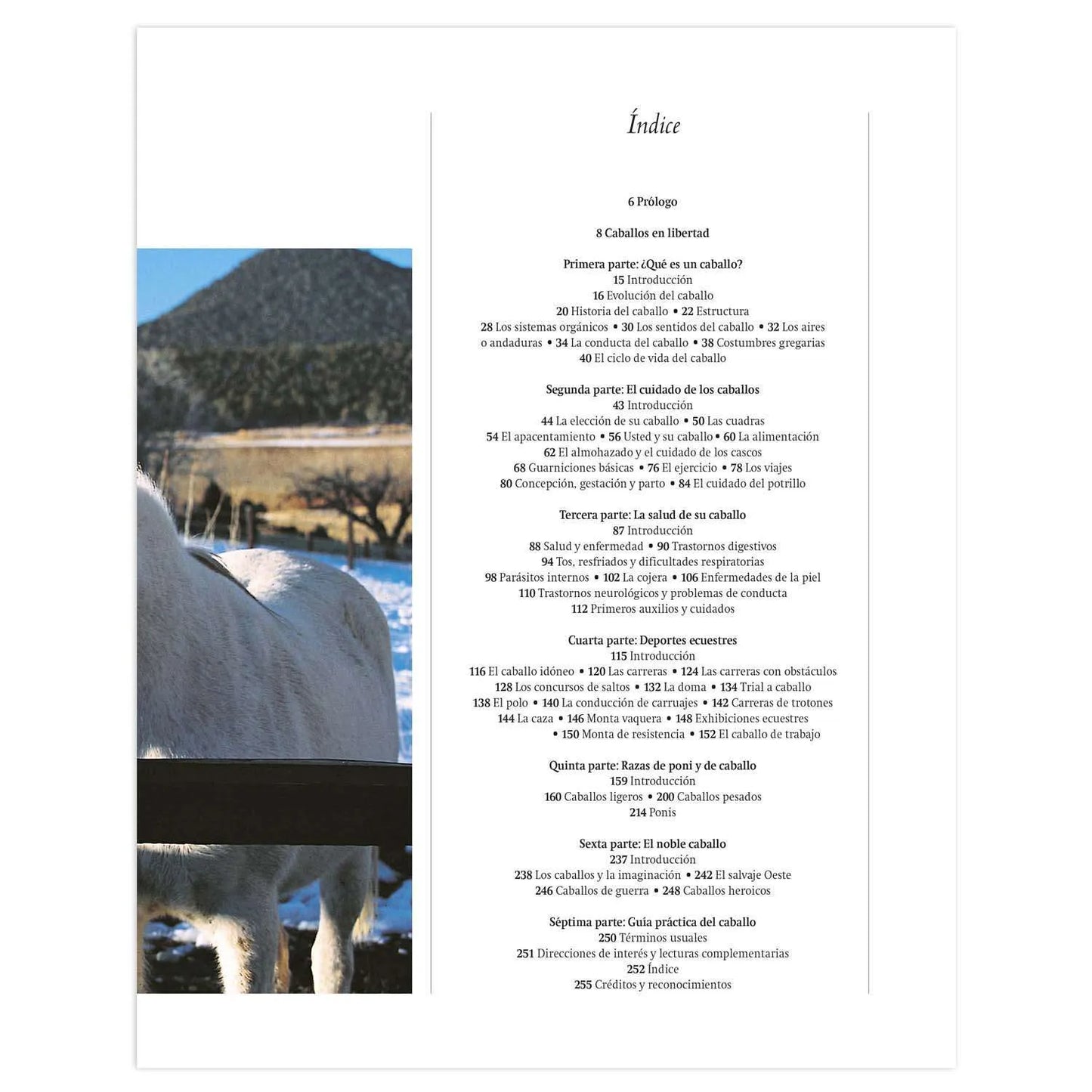 Enciclopedia Definitiva del Caballo