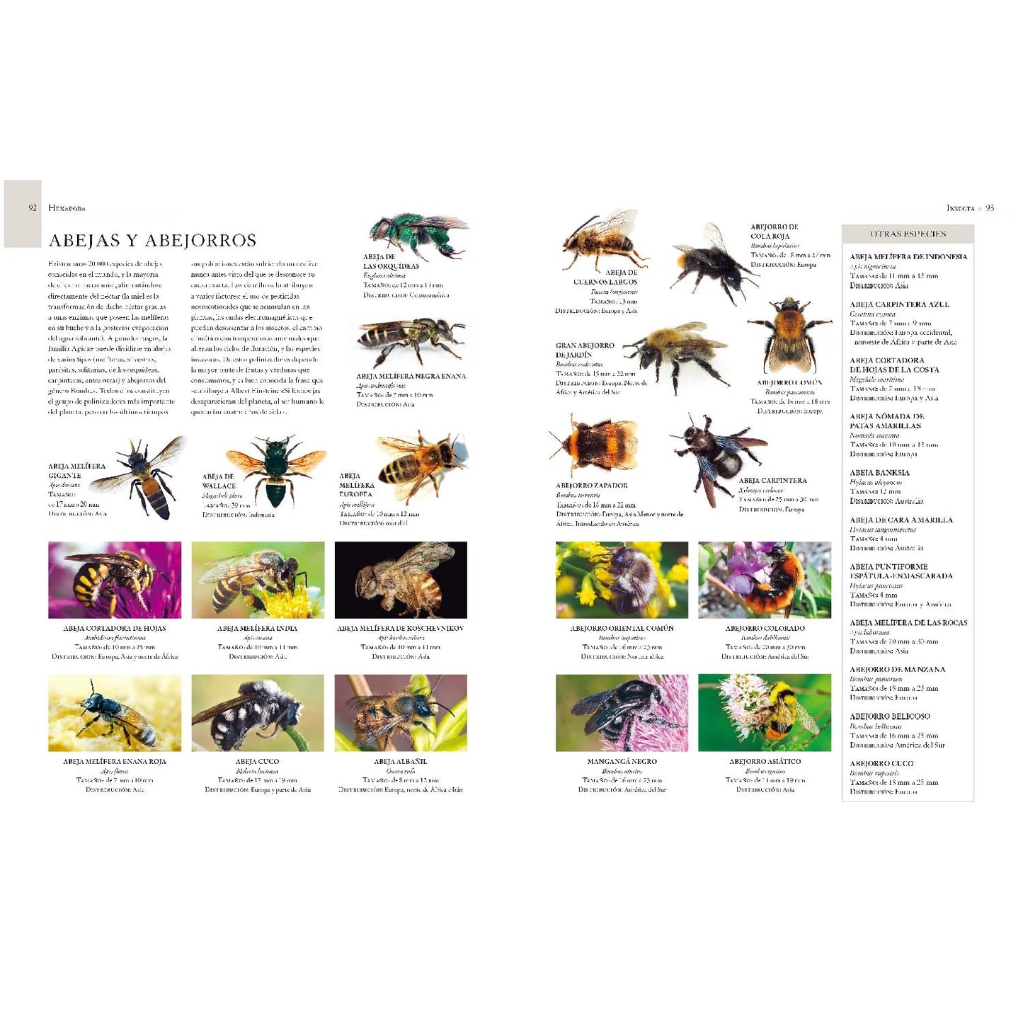 Enciclopedia Ilustrada de Micro Animales