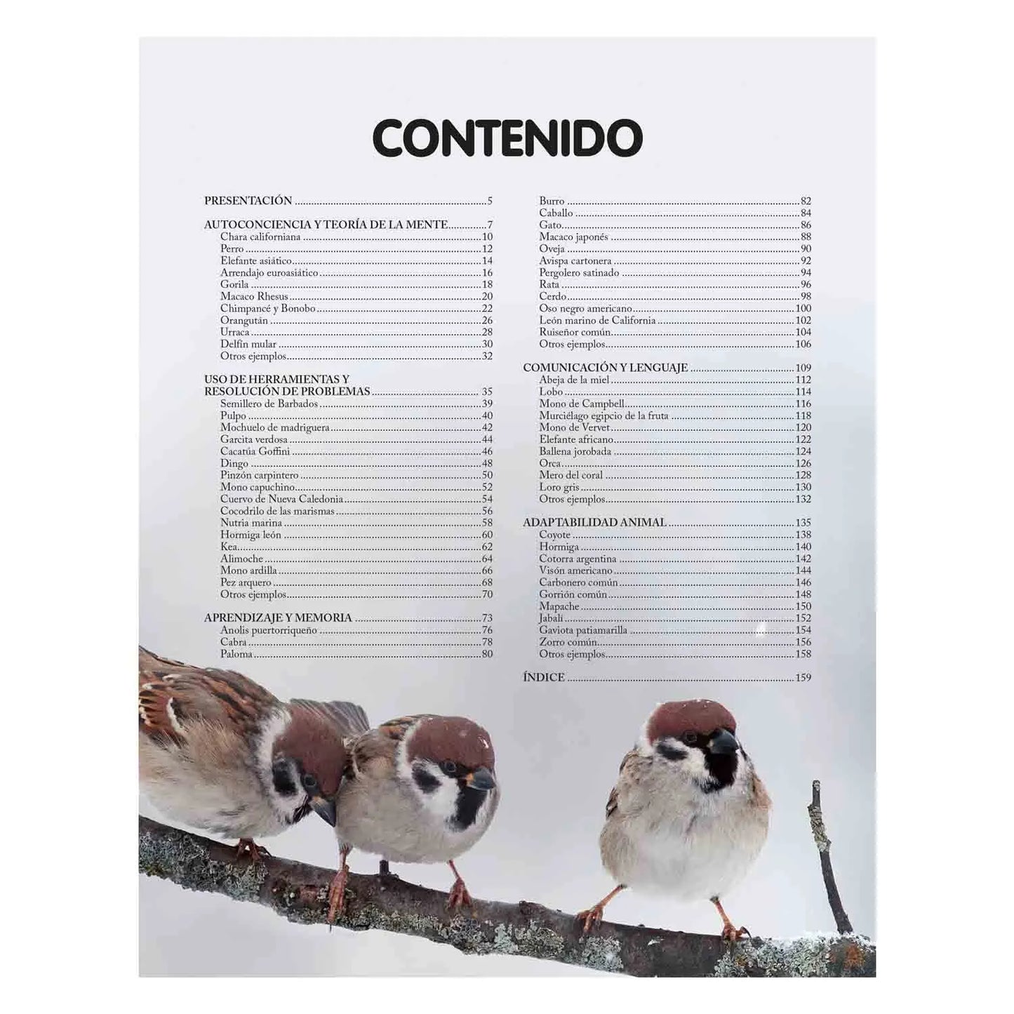Reino Animal Inteligente
