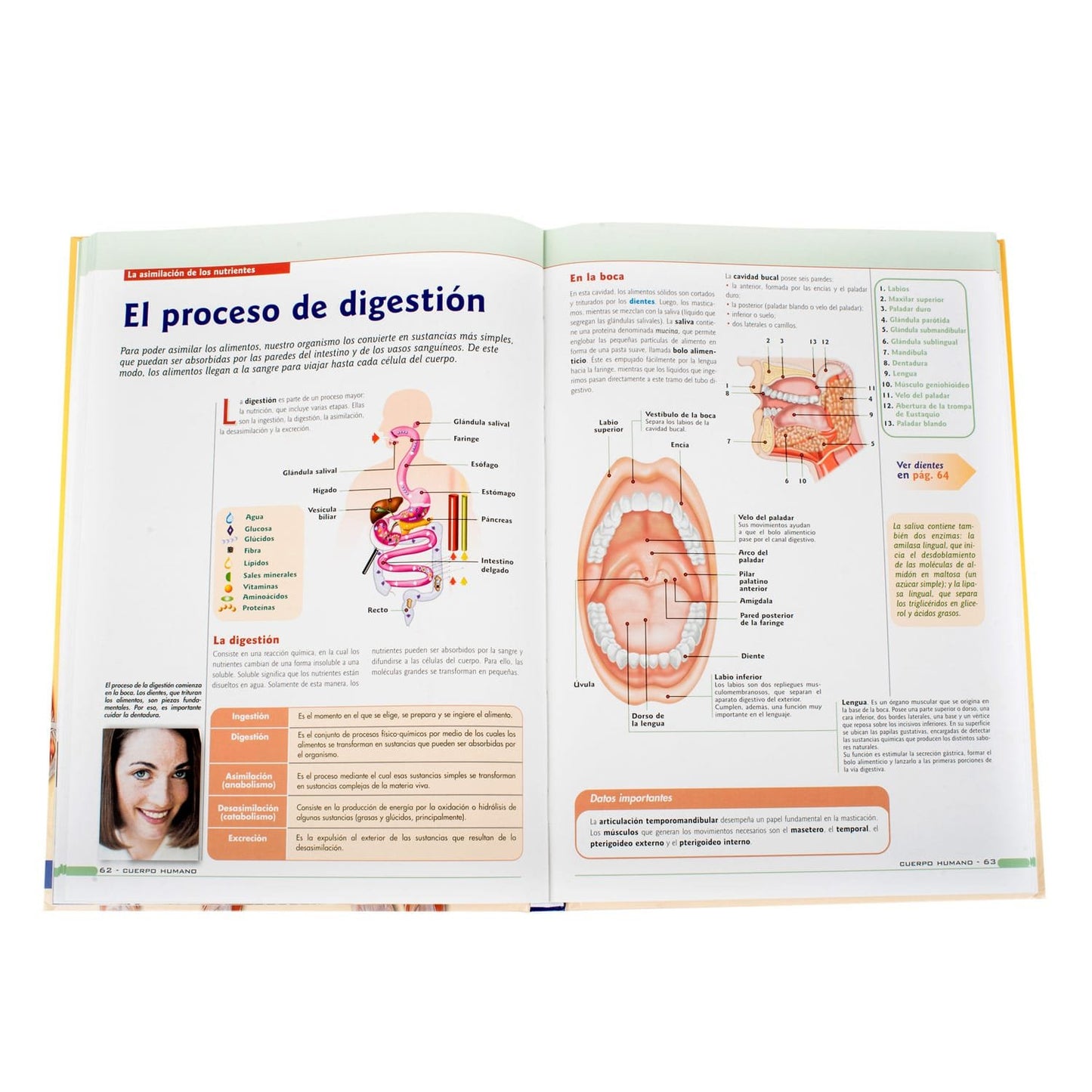 El Cuerpo Humano Fisiología y Anatomía