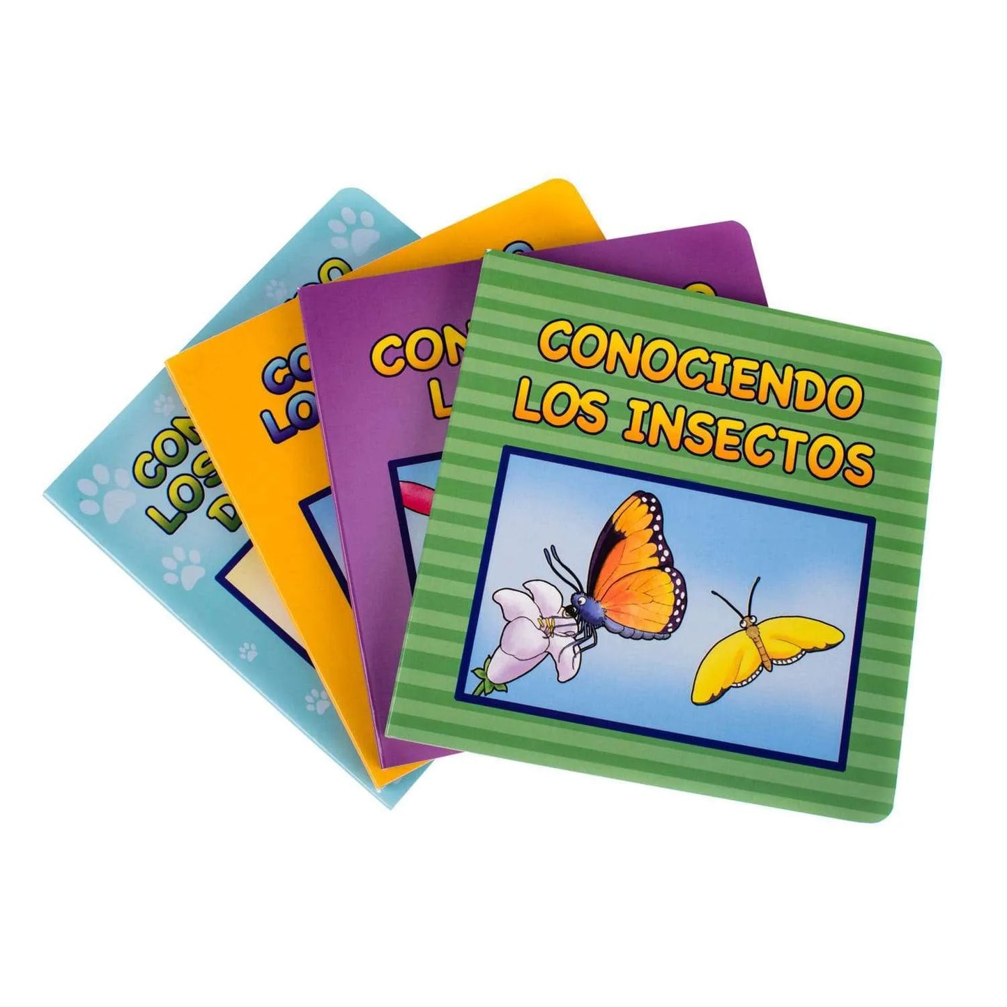 Serie Conociendo