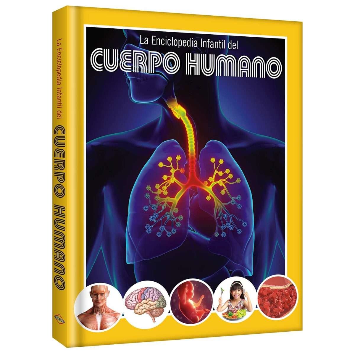 Cuerpo Humano – Enciclopedia Infantil