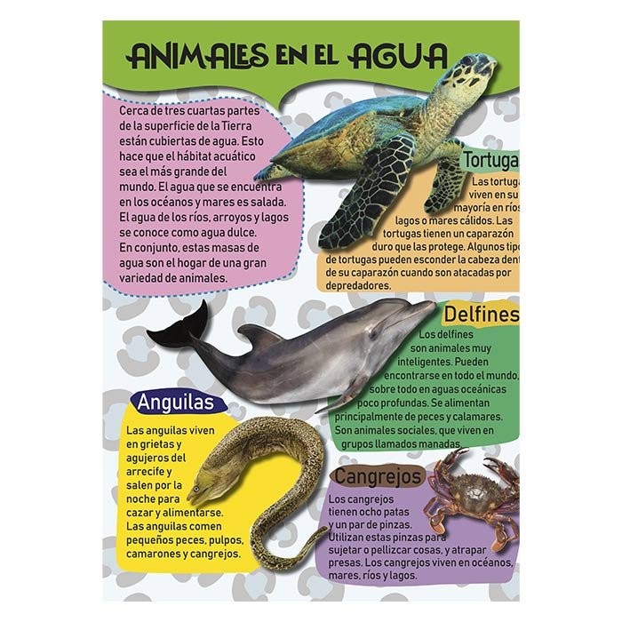 Mi Gran Libro de Animales