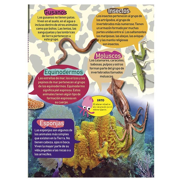 Mi Gran Libro de Animales