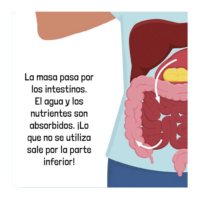 El Cuerpo Humano Una Aventura Científica Desplegable