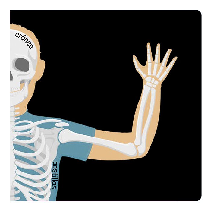 El Cuerpo Humano Una Aventura Científica Desplegable
