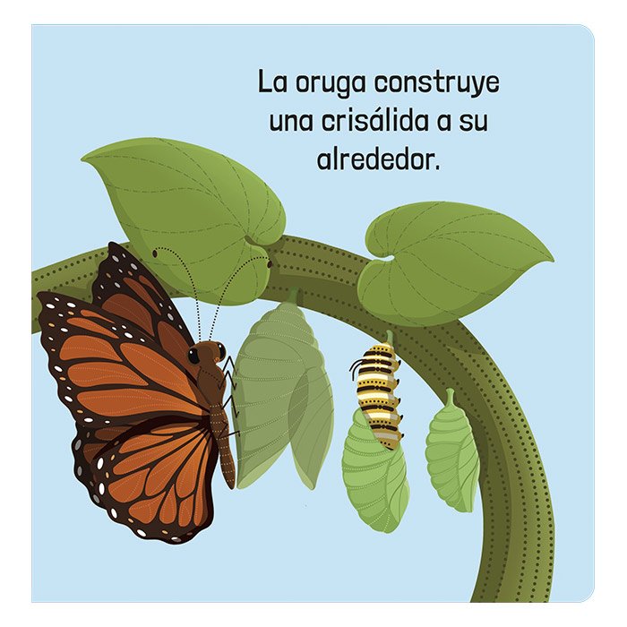 Cómo Funcionan los Organismos Vivos Una Aventura Científica Desplegable