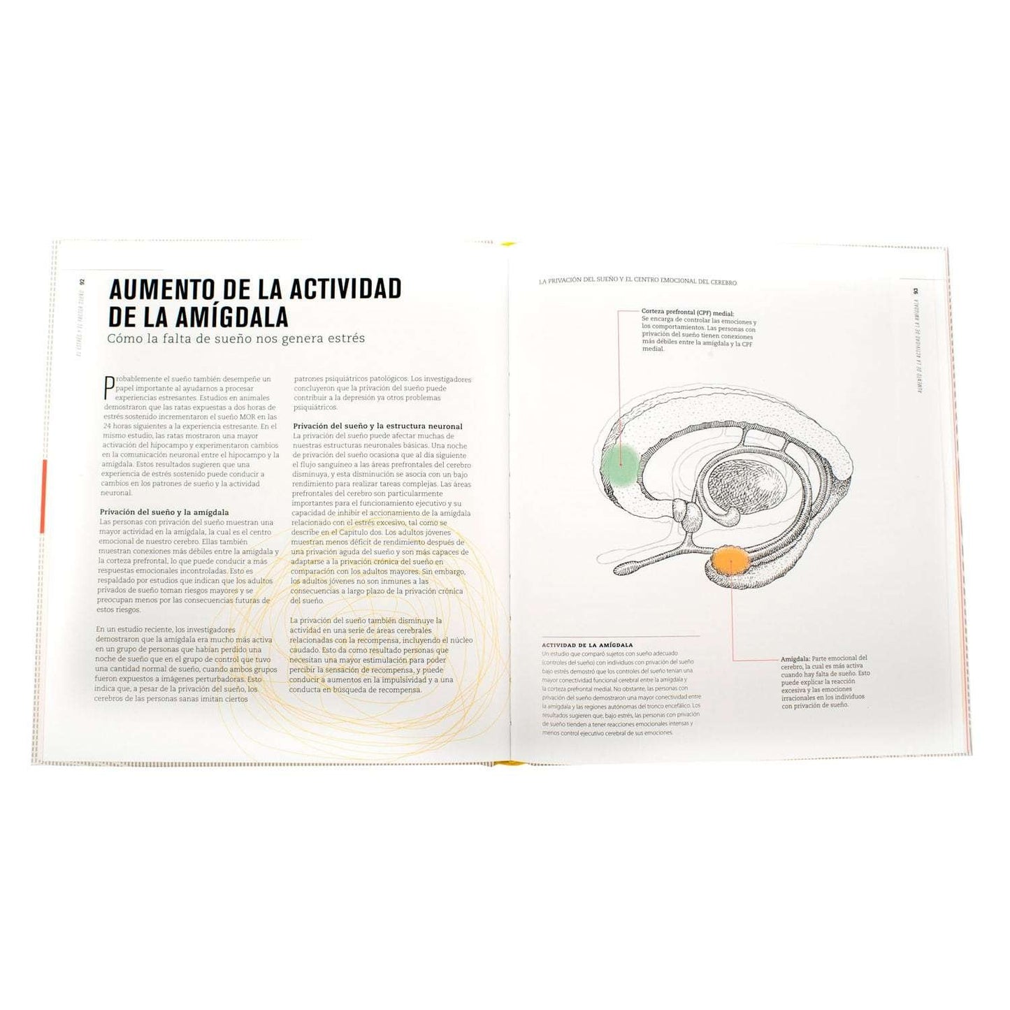 Ciencia del Estrés