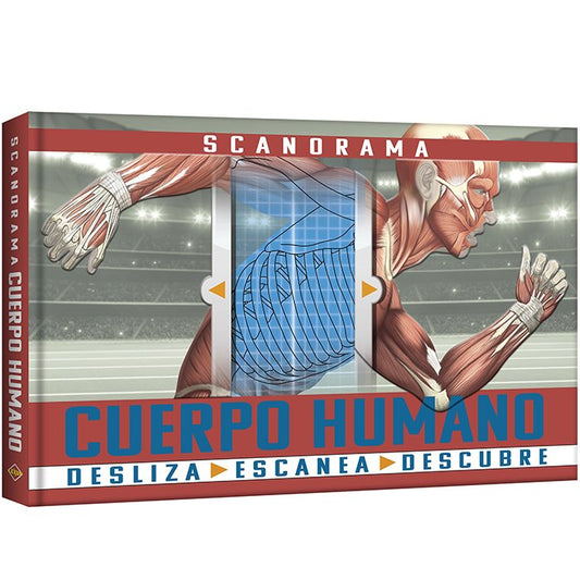 Scanorama Cuerpo Humano