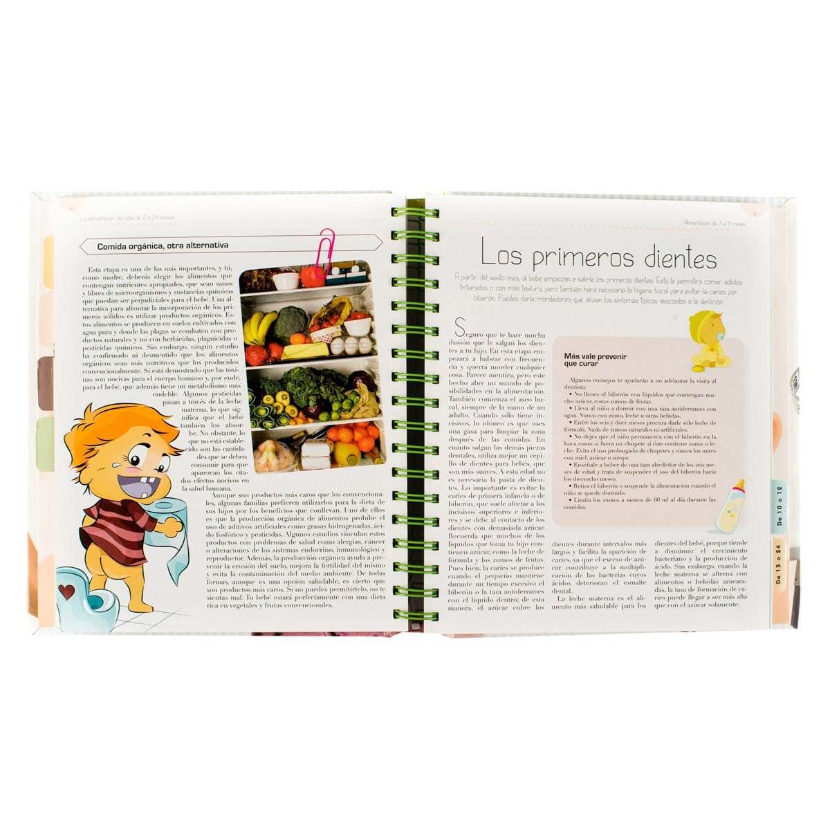 La Alimentación del Bebé