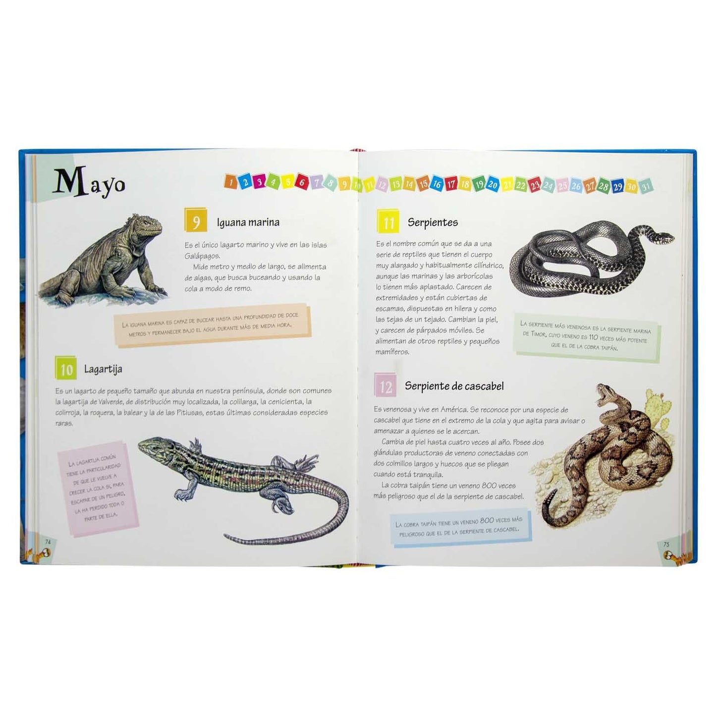 365 Curiosidades de Animales