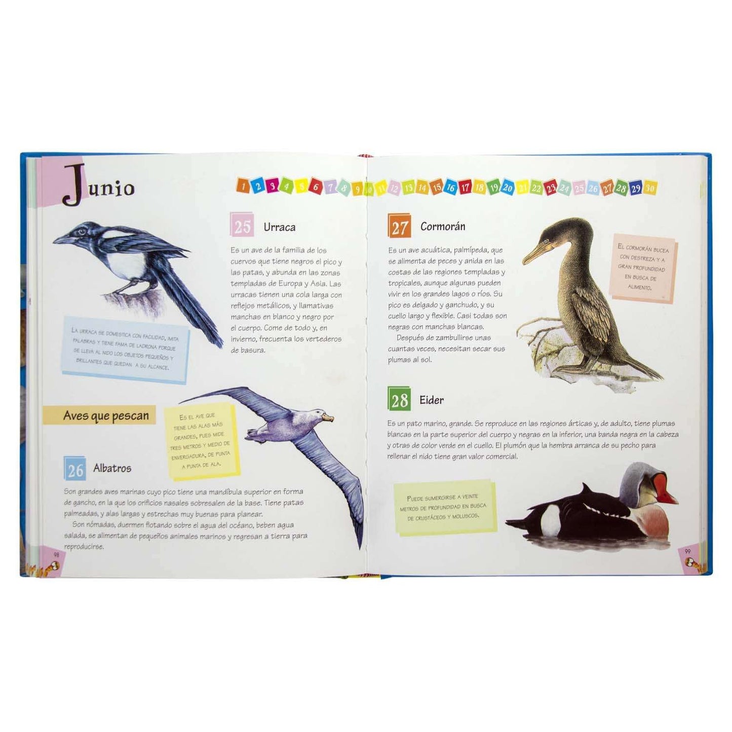 365 Curiosidades de Animales