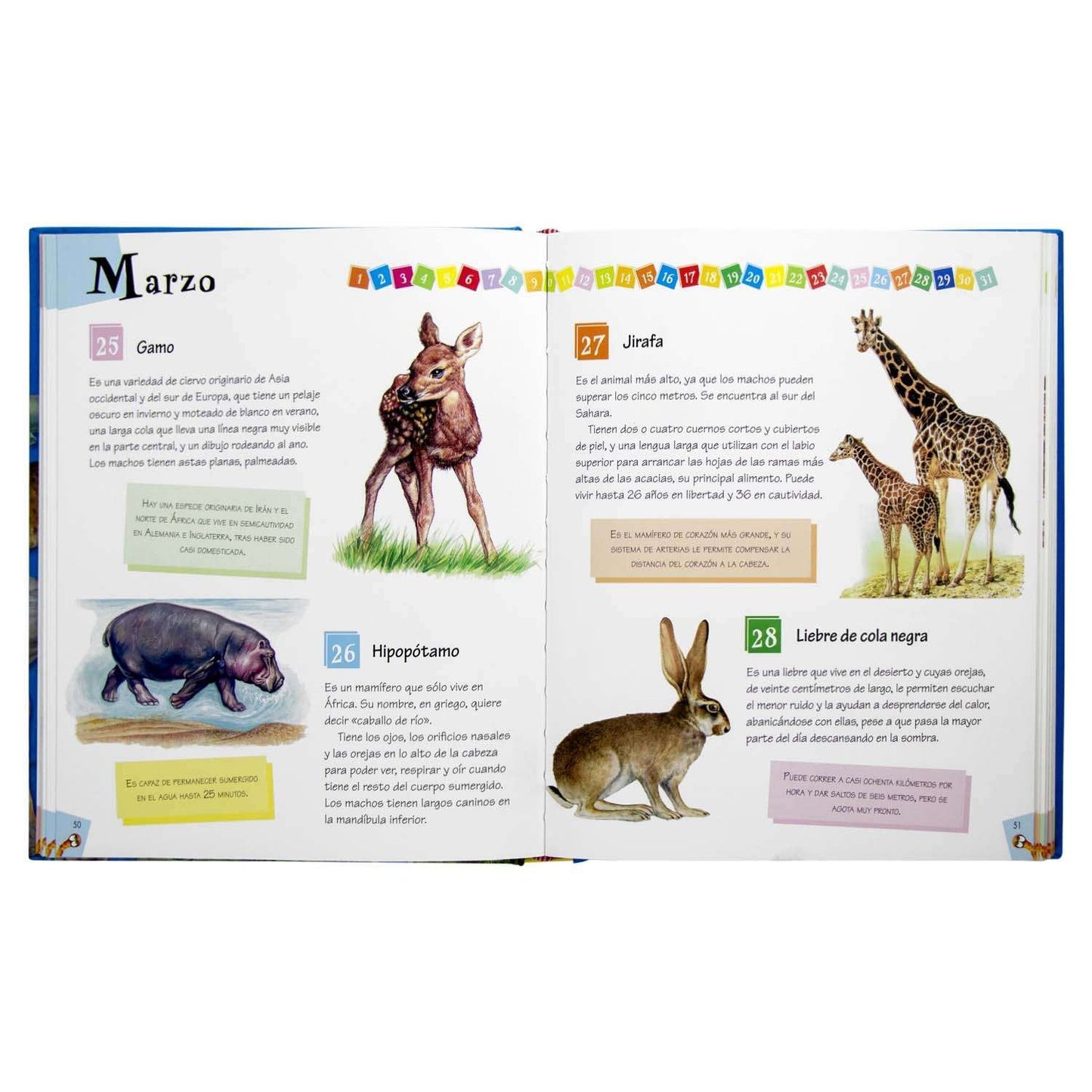 365 Curiosidades de Animales