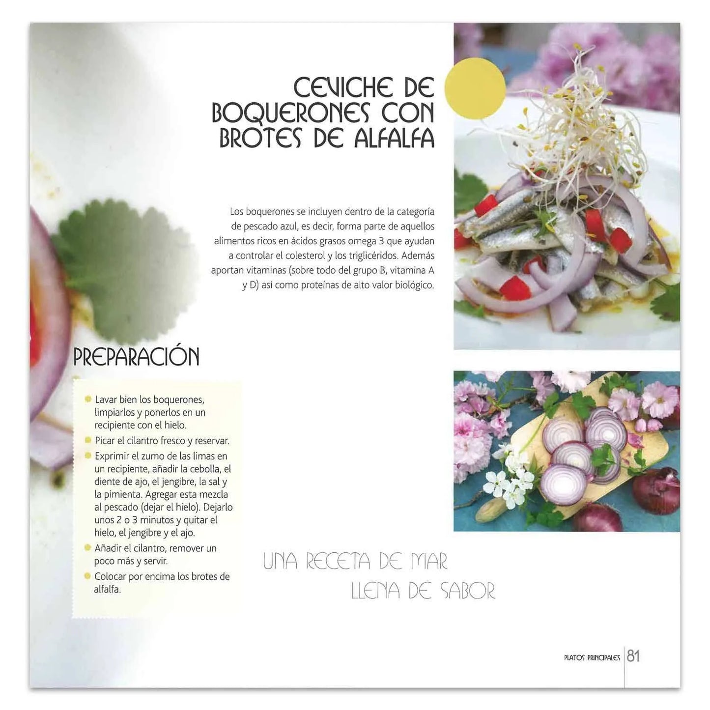 Cocina Sin Cocinar