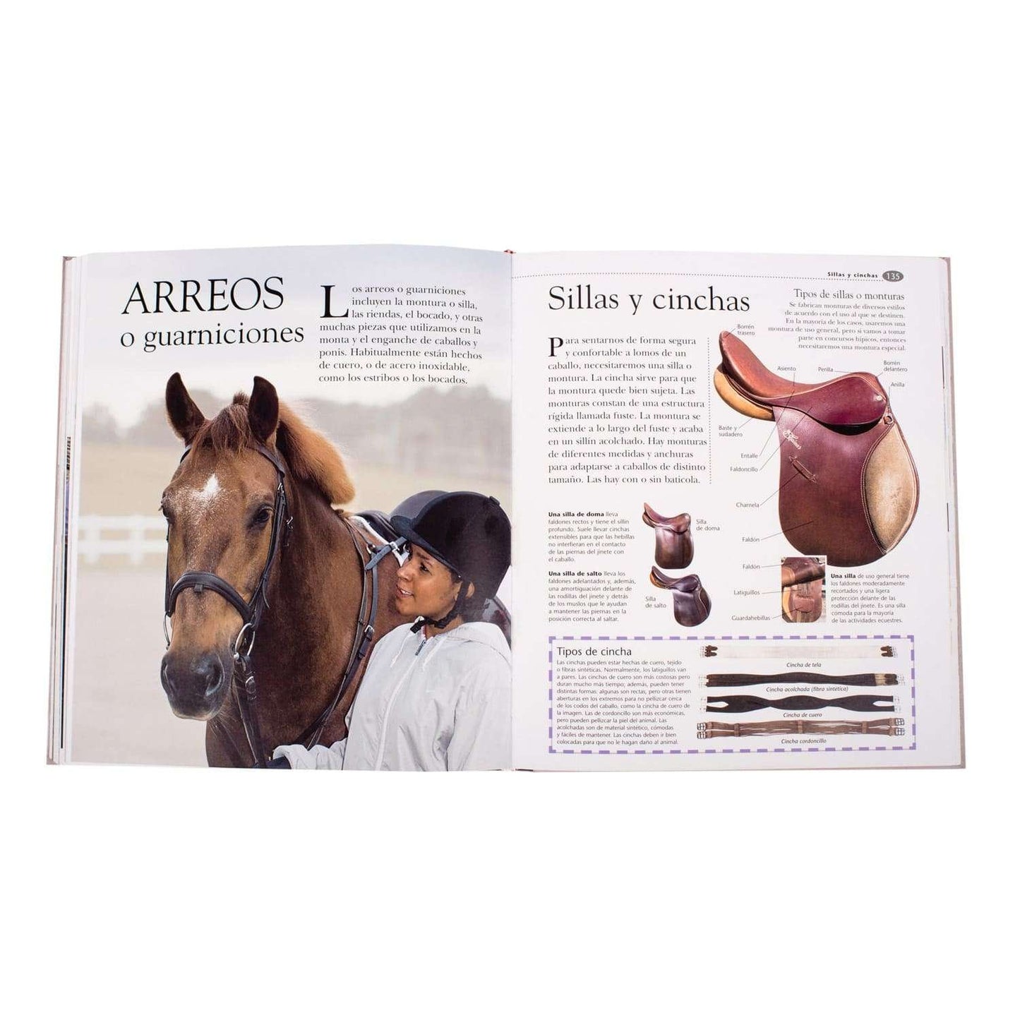Atlas Ilustrado de los Caballos y Ponis